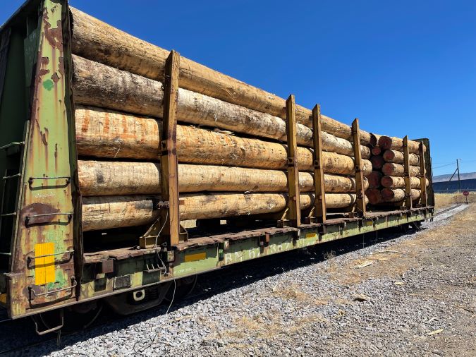 Raw timber awaiting shipment. Raw timber awaiting shipment.